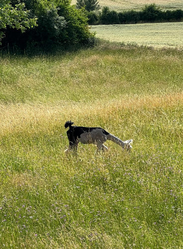 Gallery42