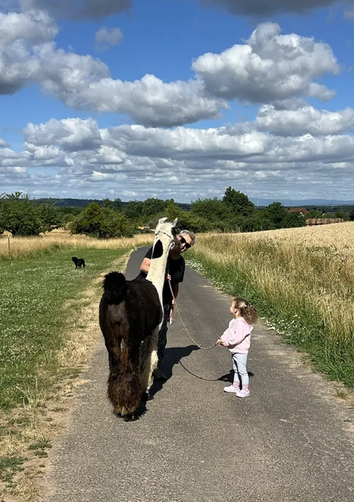 Lamas03